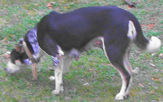 webassets/100_0611a.JPG