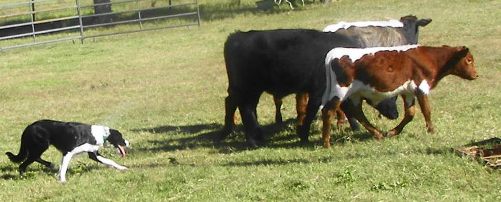 webassets/100_0611a.JPG