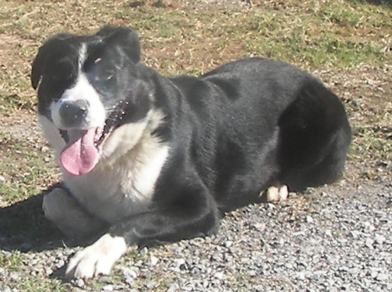 webassets/100_0611a.JPG